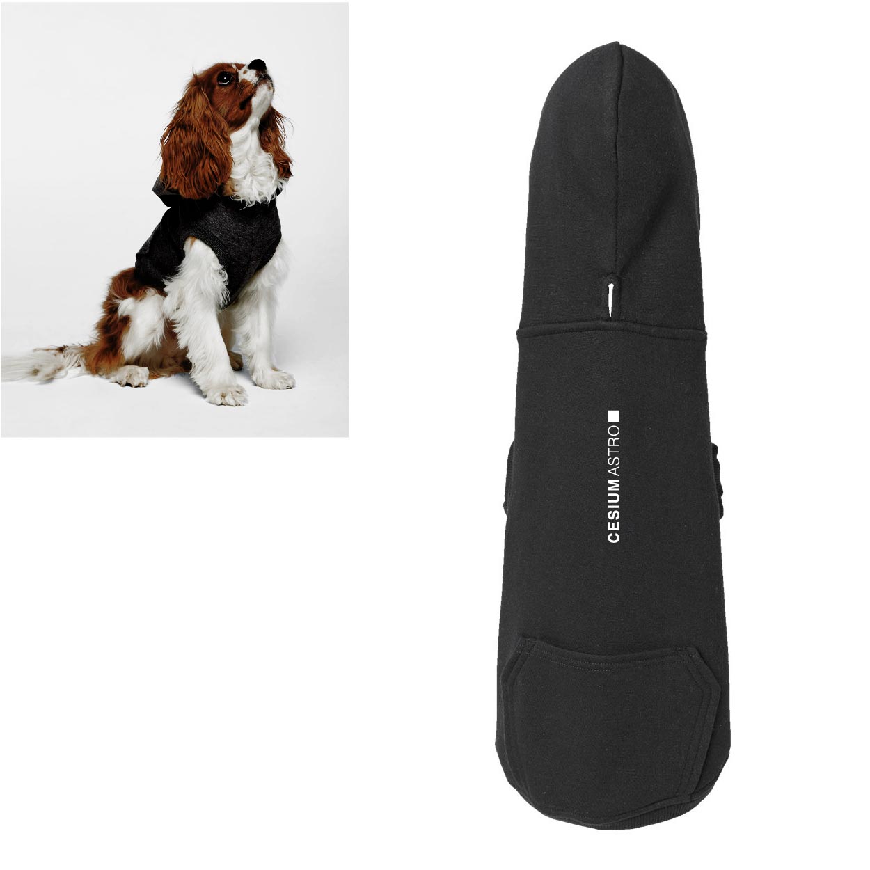 Doggie 3-End Fleece Hooded Sweatshirt